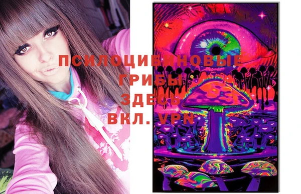 гашиш Касимов