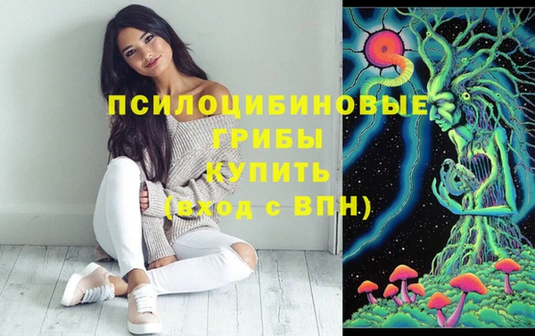 СК Кинешма